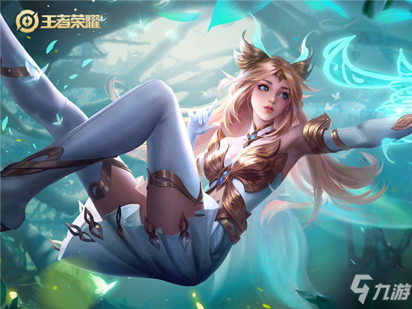 球员的职业 球员的职业